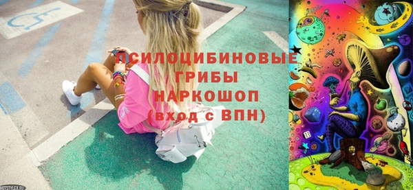 спайс Аркадак