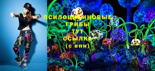 меф Арсеньев
