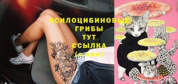 хмурый Россошь