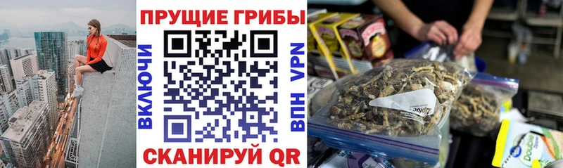Галлюциногенные грибы Psilocybine cubensis  Бобров 